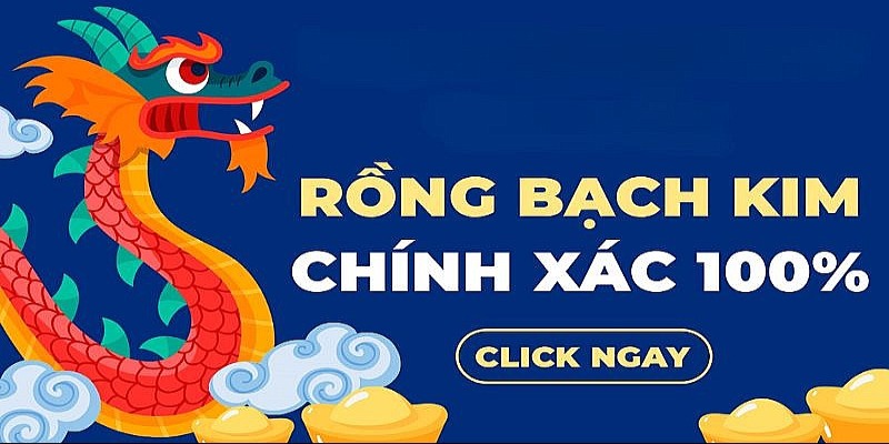 Rồng bạch kim chính xác 100 là khái niệm phổ biến trong cá cược lô đề